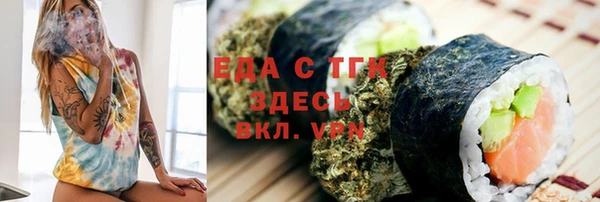 МДПВ Пересвет