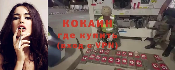 прущие крисы Алзамай