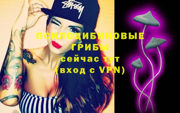 прущие крисы Алзамай