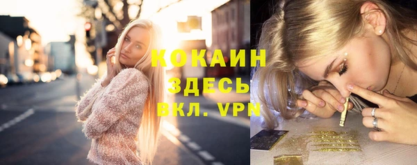 прущие крисы Алзамай